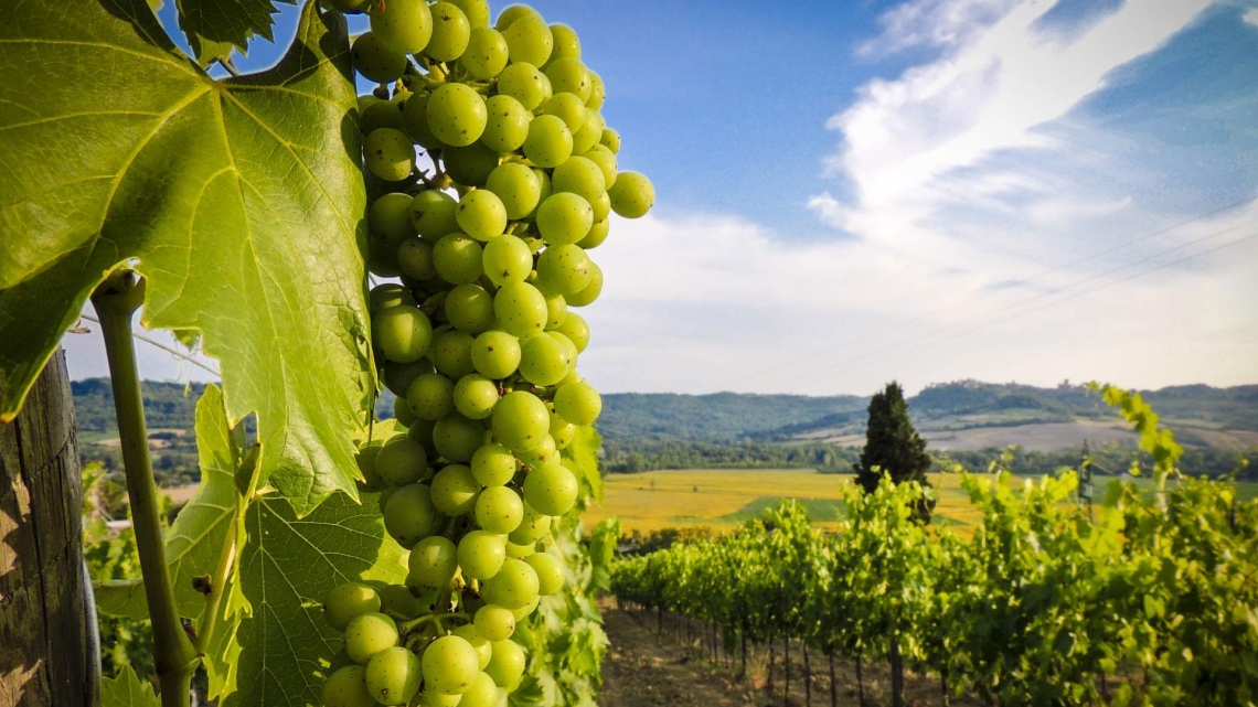 Чарівна та неповторна Грузія в супроводі представника Феєрії