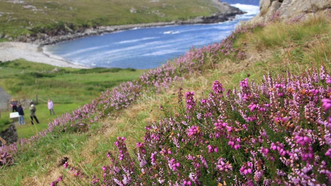 	Шотландія - FREEDOM (Глазго-Единбург)	