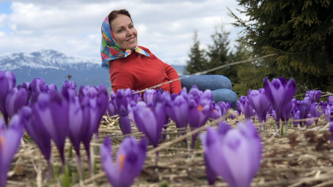 У Карпати за крокусами