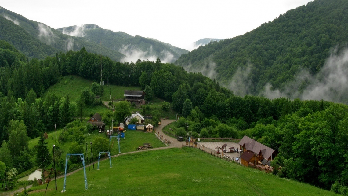 У Карпати за крокусами