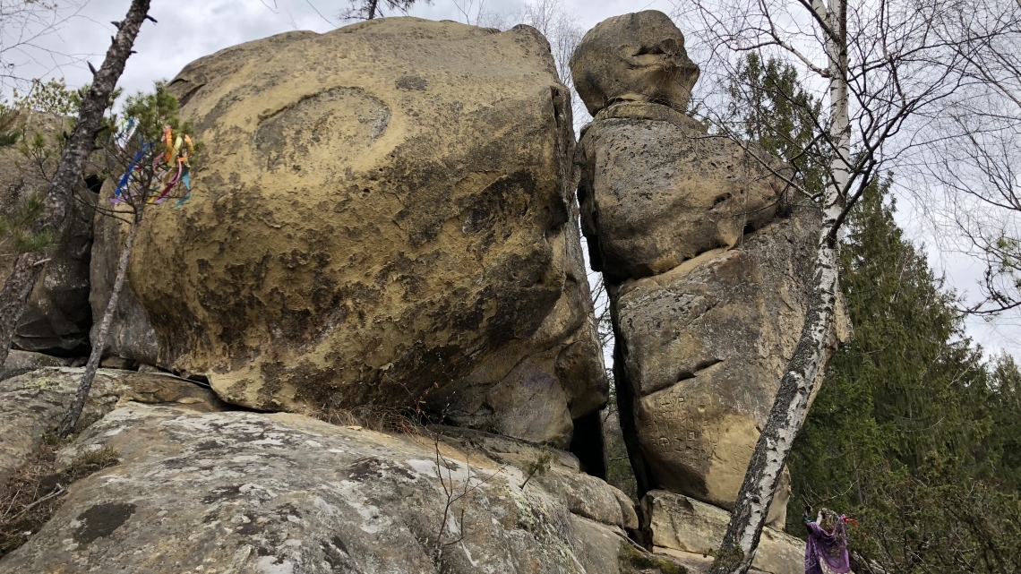 У Карпати за крокусами