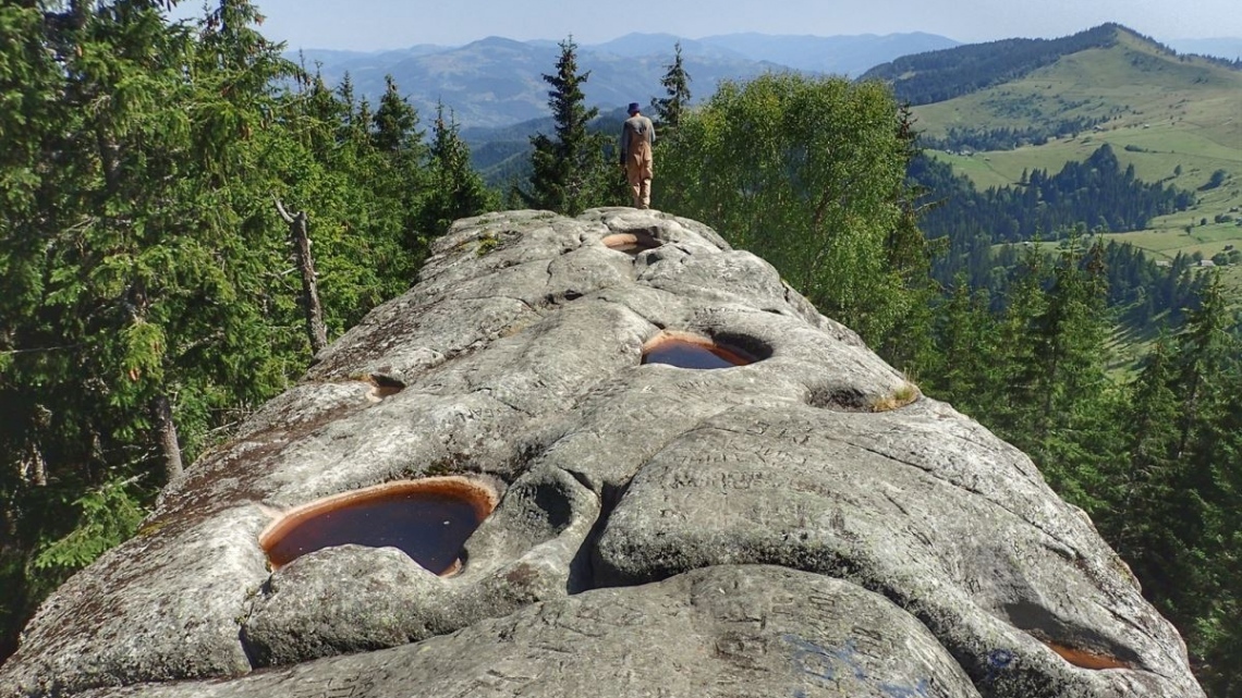 У Карпати за крокусами