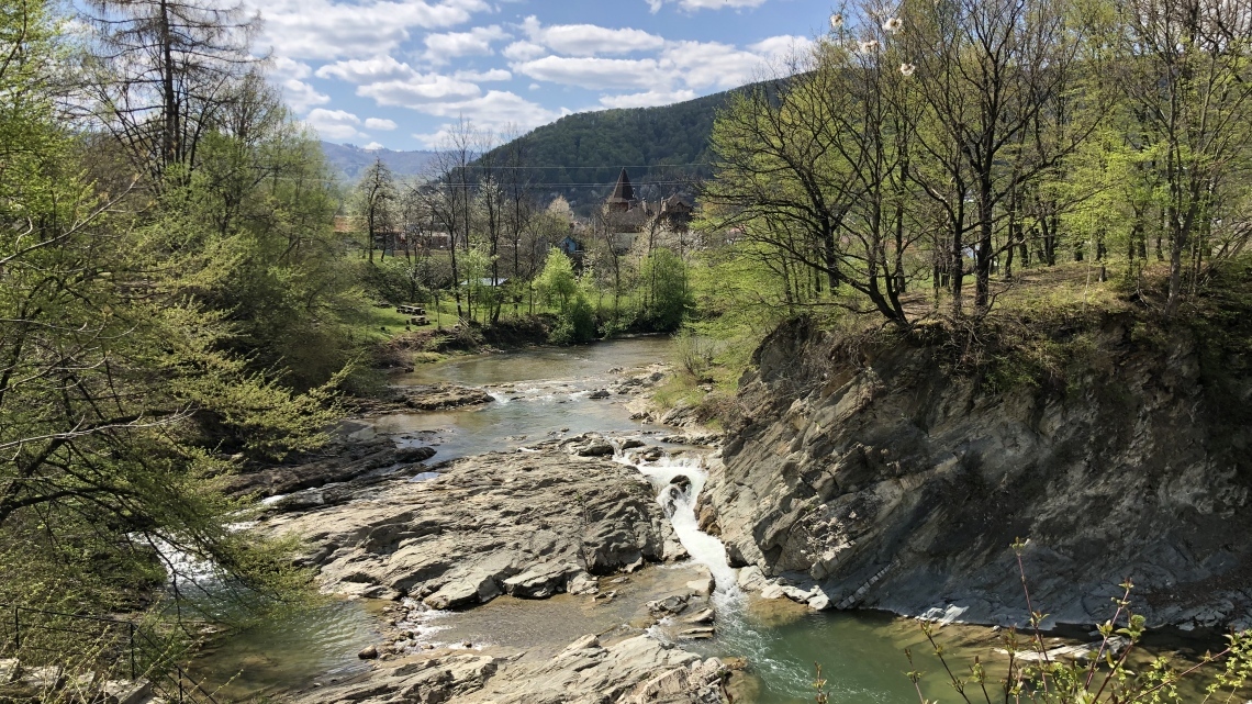 У Карпати за крокусами