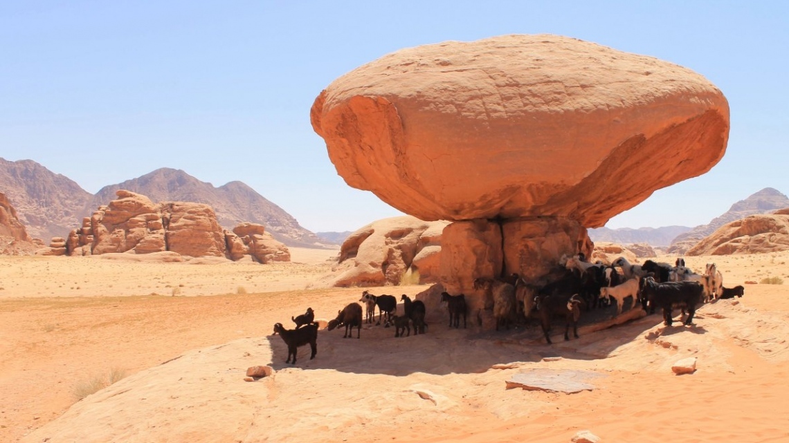 Вся Йорданія з відпочинком на Червоному і Мертвому морях. Груповий тур
