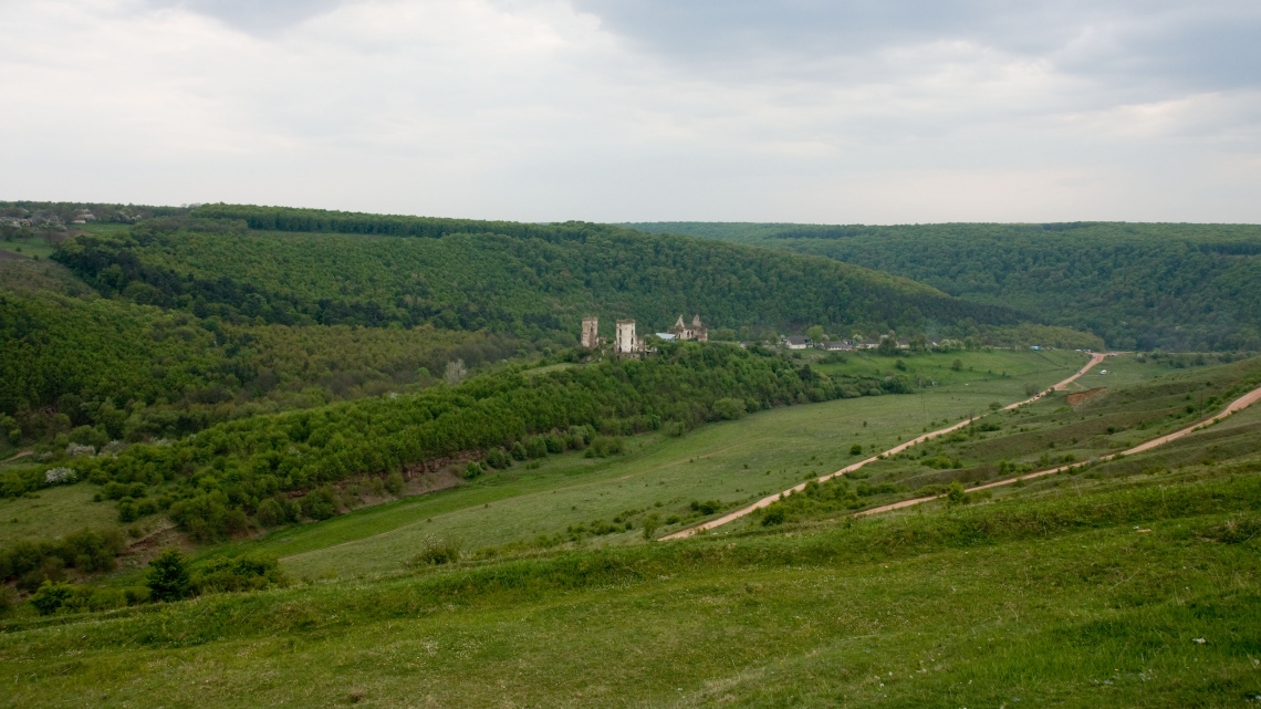 Долина тюльпанів під Чернівцями (2 дні)