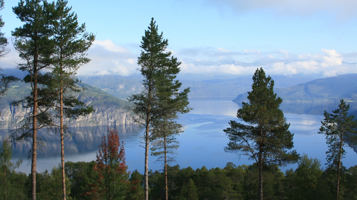 Норвегія - подорож мрії