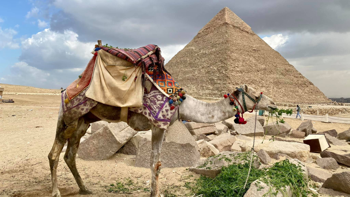Гарантований тур. Караван історії: увесь Єгипет в одному турі