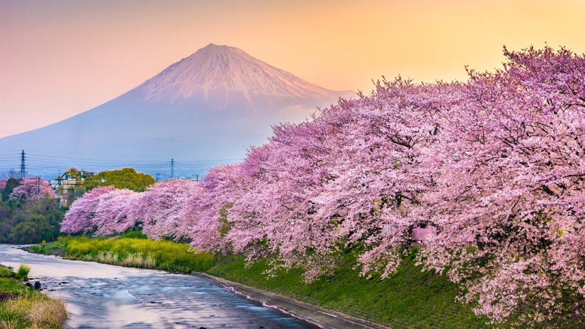 Гарантований тур. Оглядовий тур Японією