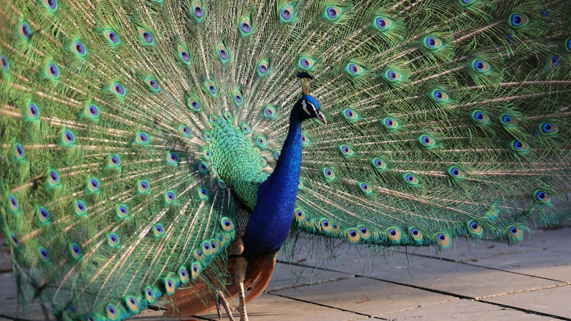 Груповий Гранд-тур до Китаю "Нефритова імперія"