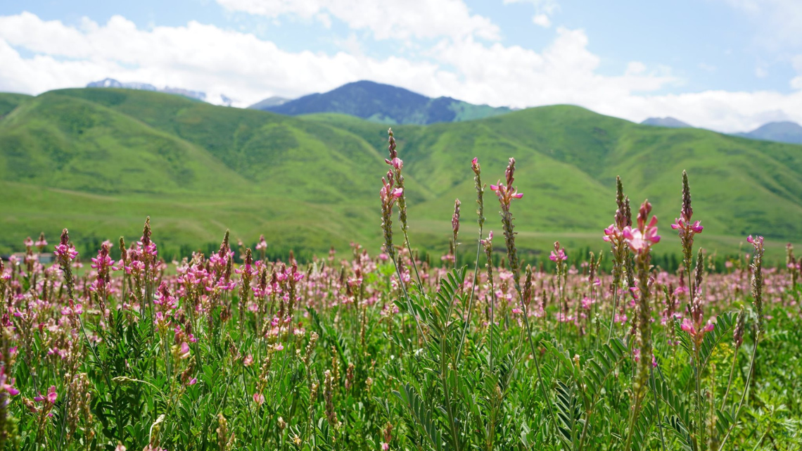 Terra Азія: Казахстан + Киргизстан