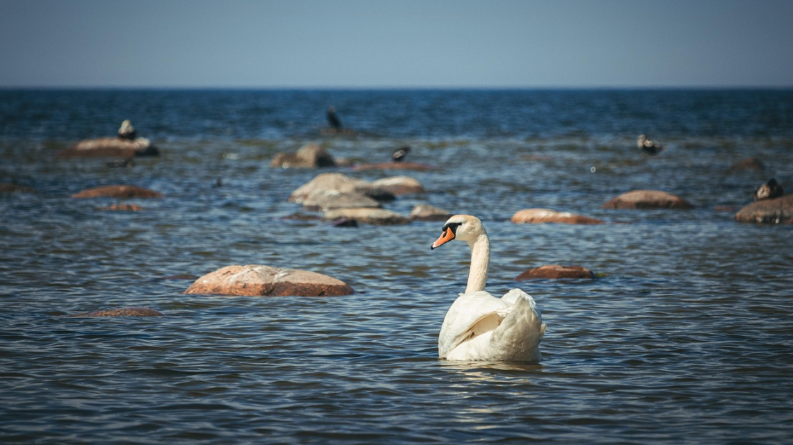 Чарівна Балтія
