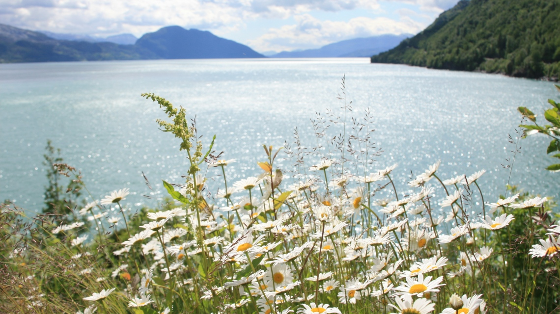 Круїз Норвезькими фіордами на лайнері Costa Diadema. Українська група