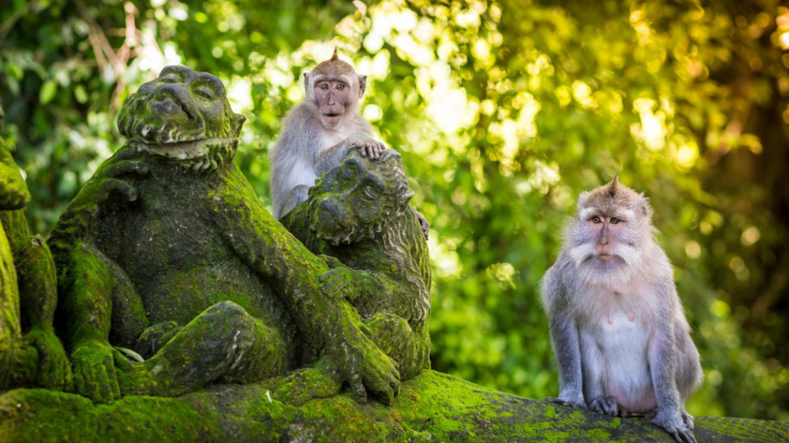 Чарівність Азії: Сінгапур, Індонезія, Малайзія