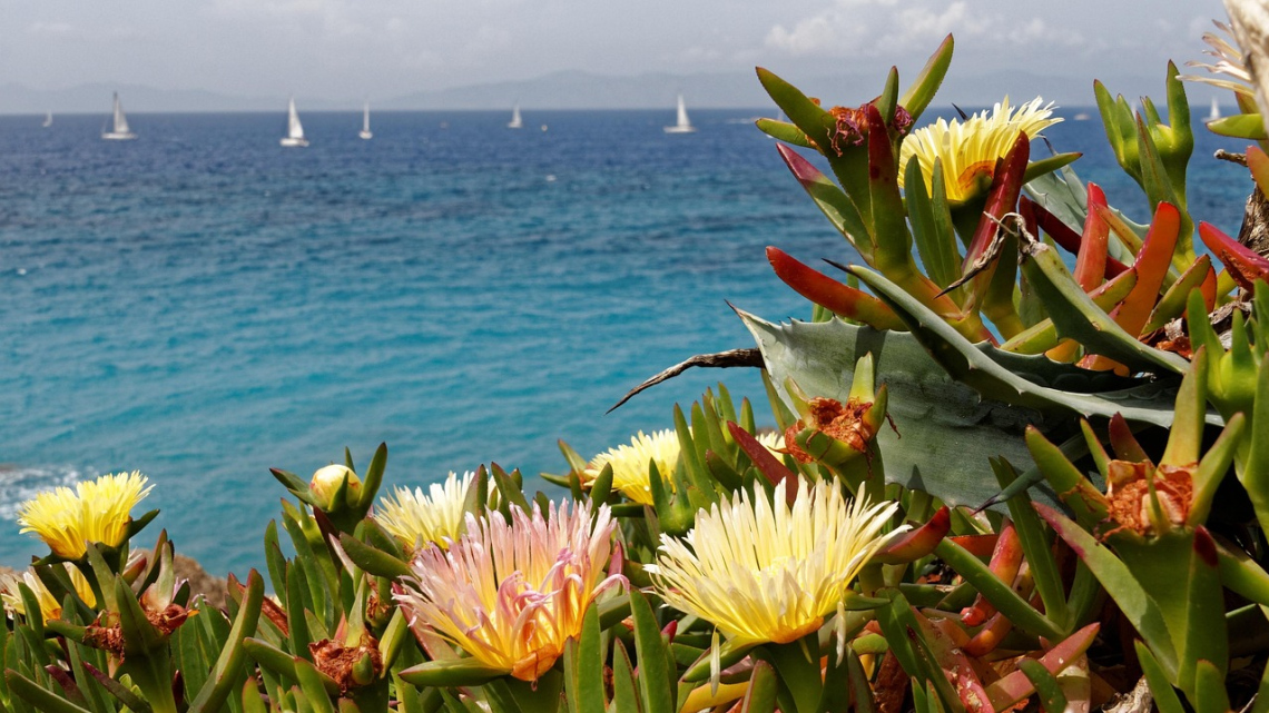 Круїз грецькими островами + відпочинок на морі у супроводі представника Феєрії