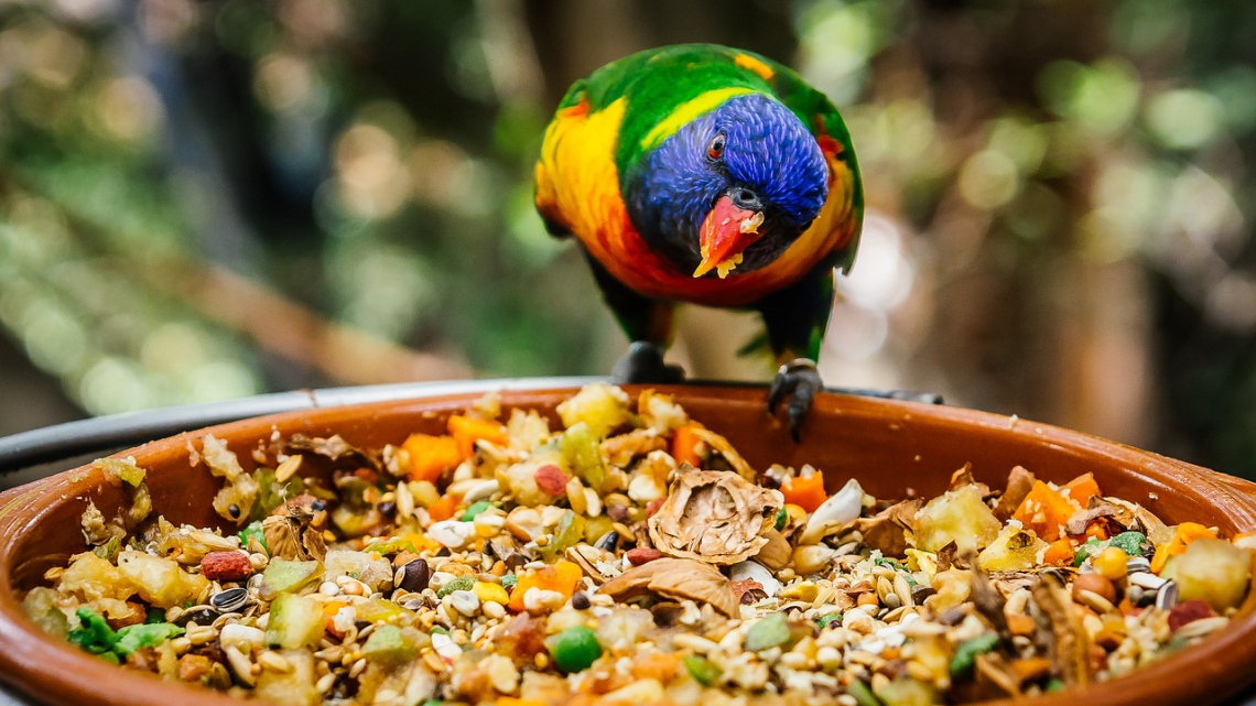 Тенеріфе - острів контрастів