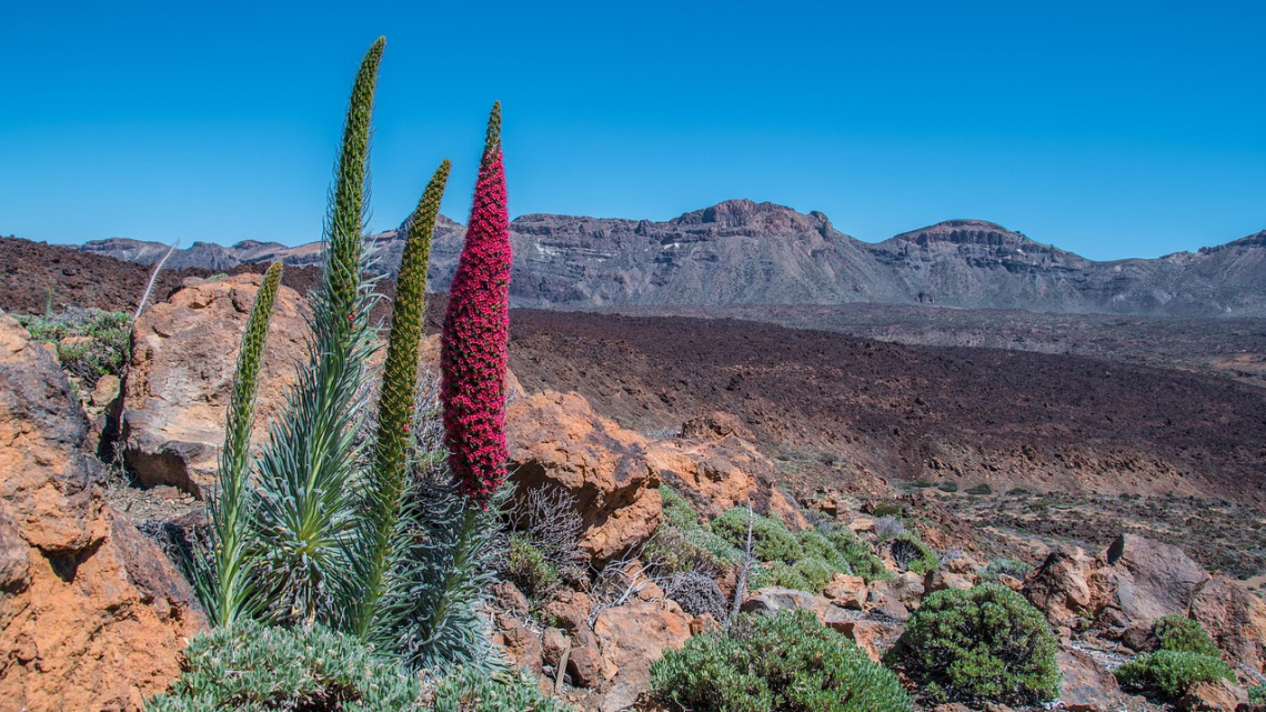 Тенеріфе - острів контрастів