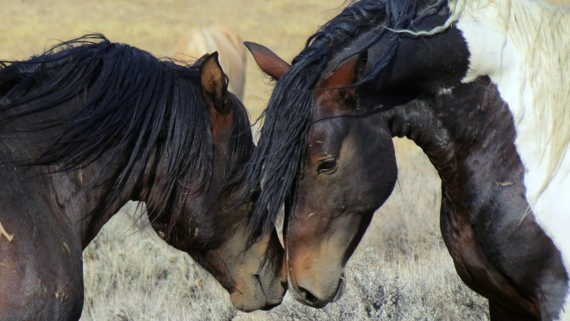 Захід США. Національні парки заходу США від Лос-Анджелеса до Солт-Лейк-Сіті