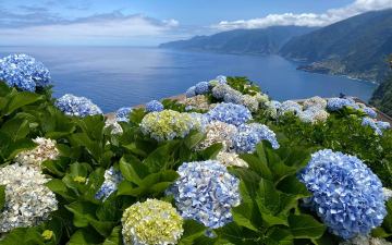 Канікули на Мадейрі. Груповий екскурсійний тур (міні-група)