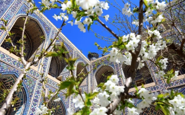 Самый полный тур по Узбекистану! Открыто раннее бронирование на весну-2026