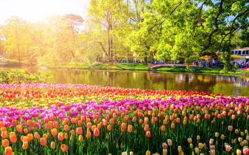 Парк квітів Кекенгоф! Весняні хіти Феєрії, 4 місця зі знижкою 150 євро