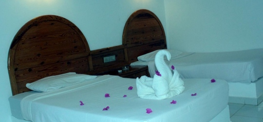 Pensee Royal Garden 4*. Эль-Кусейр