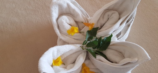 Pensee Royal Garden 4*. Эль-Кусейр