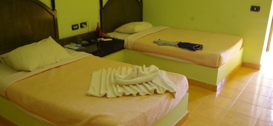 Pensee Royal Garden 4*. Эль-Кусейр