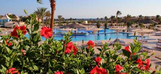 Pensee Royal Garden 4*. Эль-Кусейр