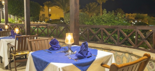 Elphistone Resort 4*. Марса-Алам