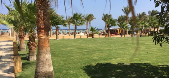 Magic Tulip Beach Resort & Spa 4*. Марса-Алам