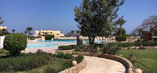 Elphistone Resort 4*. Марса-Алам