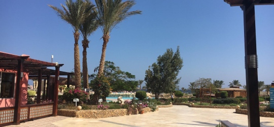 Elphistone Resort 4*. Марса-Алам