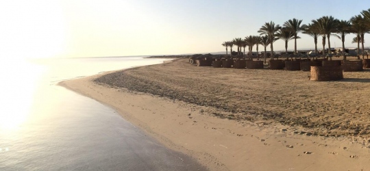 Magic Tulip Beach Resort & Spa 4*. Марса-Алам