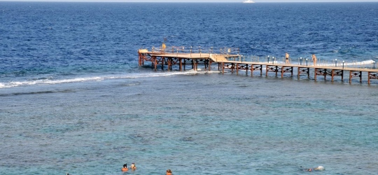 Solymar Reef Marsa 4*