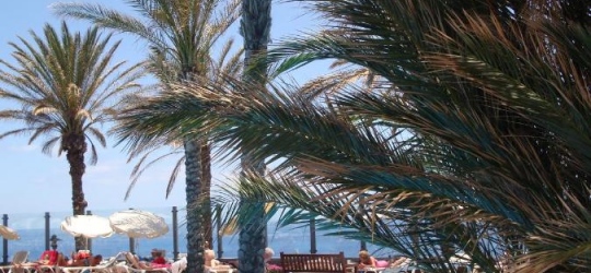 Pestana Grand Ocean Resort Hotel 5*