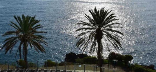 Pestana Grand Ocean Resort Hotel 5*