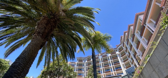 The Cliff Bay Hotel 5*