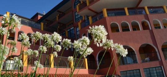 Hotel Royal Orchid 4*