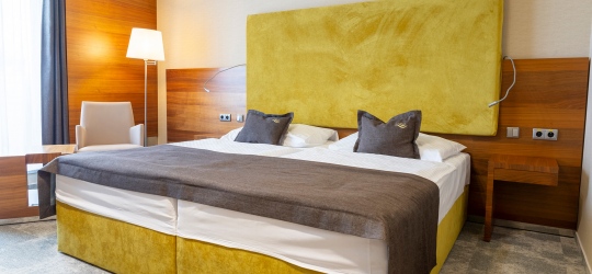 MOUNTAIN VIEW 4* (Попрад)