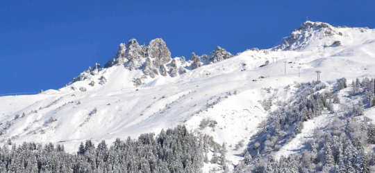 PLEIN SOLEIL N° PS 918