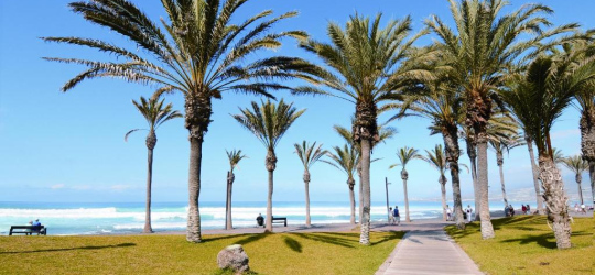 Zentral Center 4* (Тенерифе, Канарские острова)